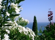 LOL赛事-赛道上的绿茵场，维斯塔潘巴西式统治，轻取克罗地亚式顽抗