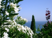 LOL赛事-赛道上的绿茵场，维斯塔潘巴西式统治，轻取克罗地亚式顽抗