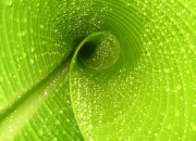 英雄联盟总决赛2025-托尼的钢铁意志，阿森纳对阵AC米兰，一人扛起全队的传奇之夜