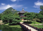 LOL决赛-猛龙强行绞杀深圳，范弗利特末节封神