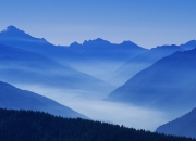 英雄联盟总决赛直播-铁锁横江！灰熊窒息式防守绞杀国王，西决生死战上演逆袭传奇