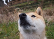 英雄联盟总决赛门票-跨界之夜，当快船在篮球场上扬帆，约基奇在F1赛道上掌舵