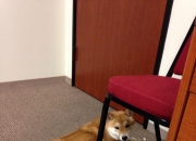 LOL决赛-冰与火的碰撞，帕尔默一箭穿云，冰岛足球的寒风吹暖地中海