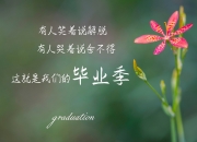 英雄联盟总决赛-狼群撕碎孤骑，米切尔无争议最佳，森林狼团队篮球终结独行侠东契奇依赖症