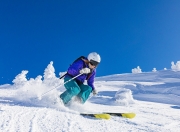 英雄联盟总决赛-米切尔狂轰42分独挑大梁 深圳队主场完胜步行者展团队实力