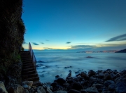 英雄联盟总决赛直播-铁血森林狼撕裂鹈鹕，布克单骑救主定乾坤