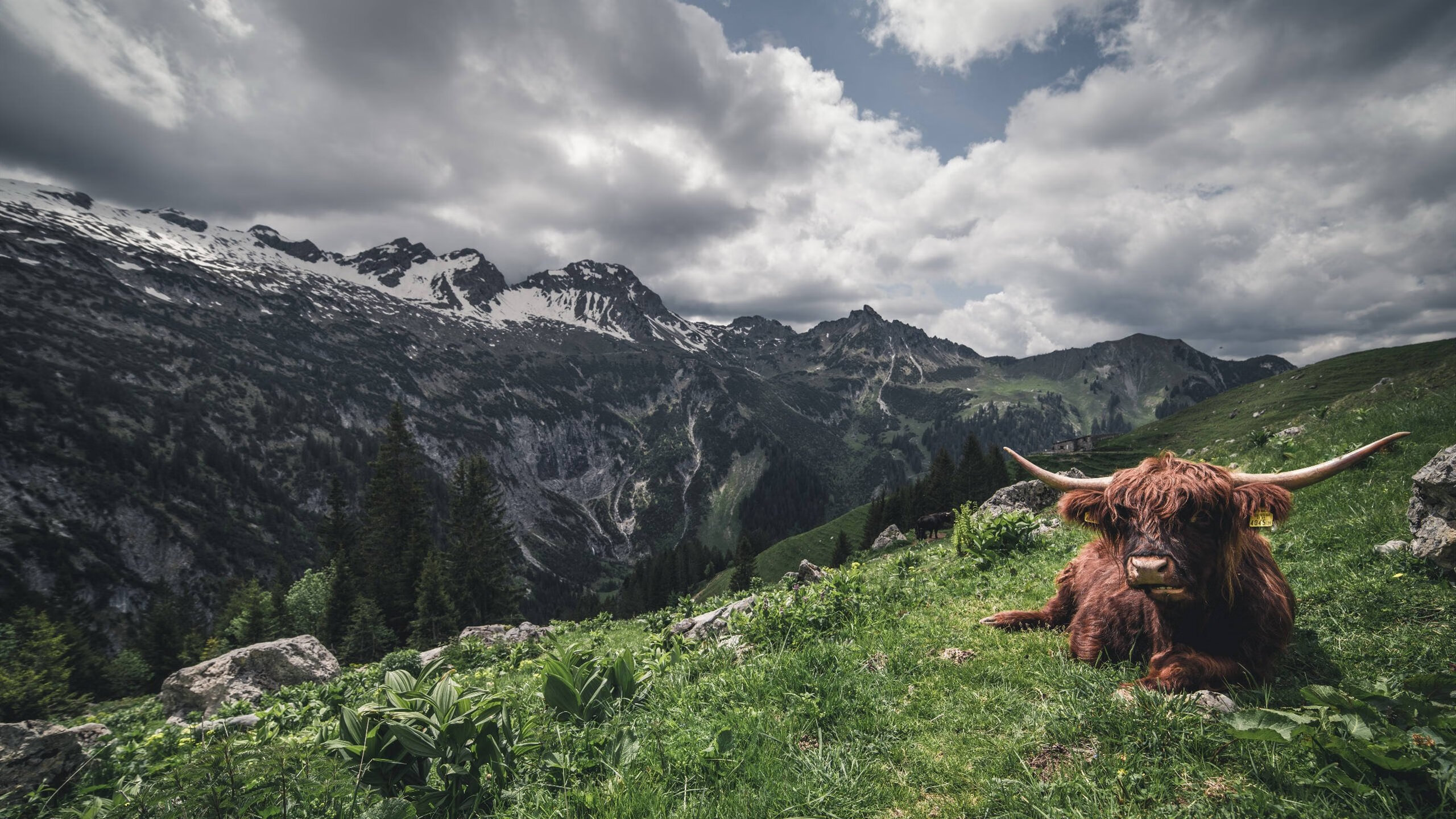 孔德一锤定音,哥斯达黎加友谊赛掀翻切尔西,拉丁足球的冰与火之歌