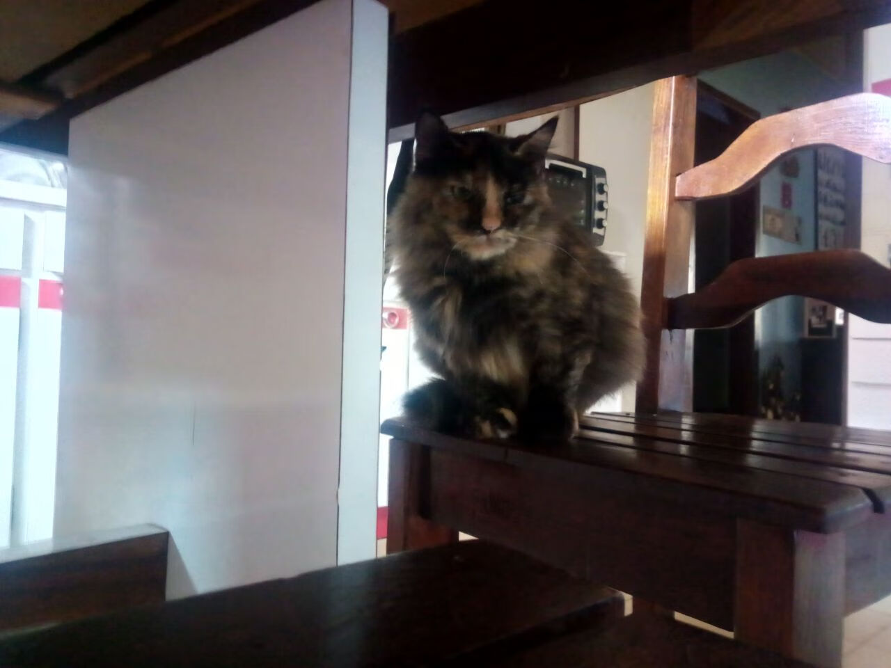 废土竞技场，莫兰特狂飙撕裂芝加哥铁幕