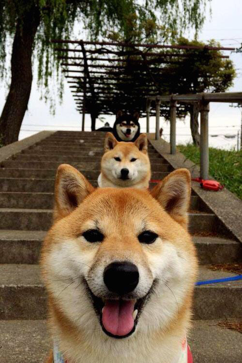 冰封王座,美加墨寒夜中,C罗以不朽姿态冻结时间