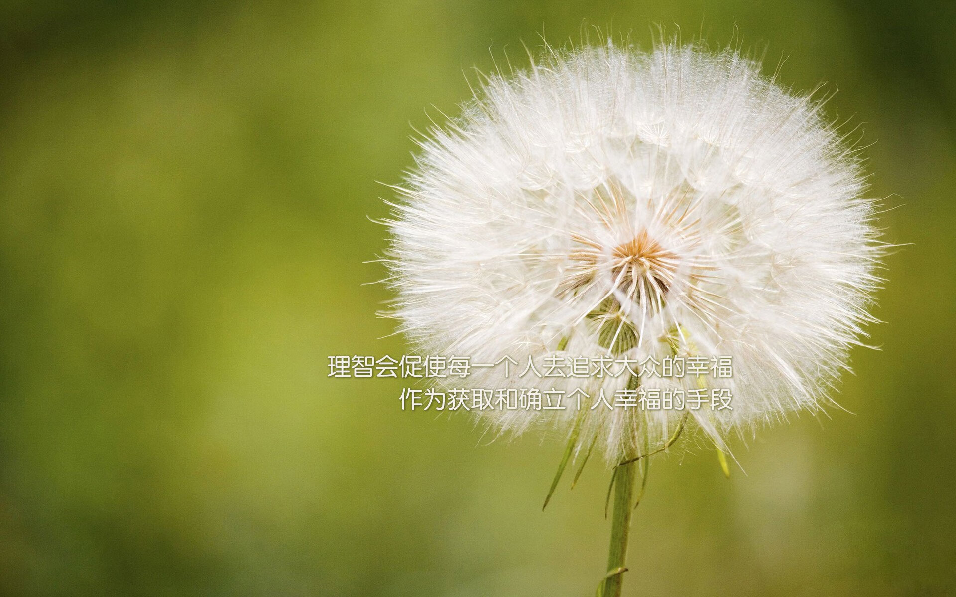 红蓝对决诞生完美模板，戈麦斯10分神迹，重定义中场核心