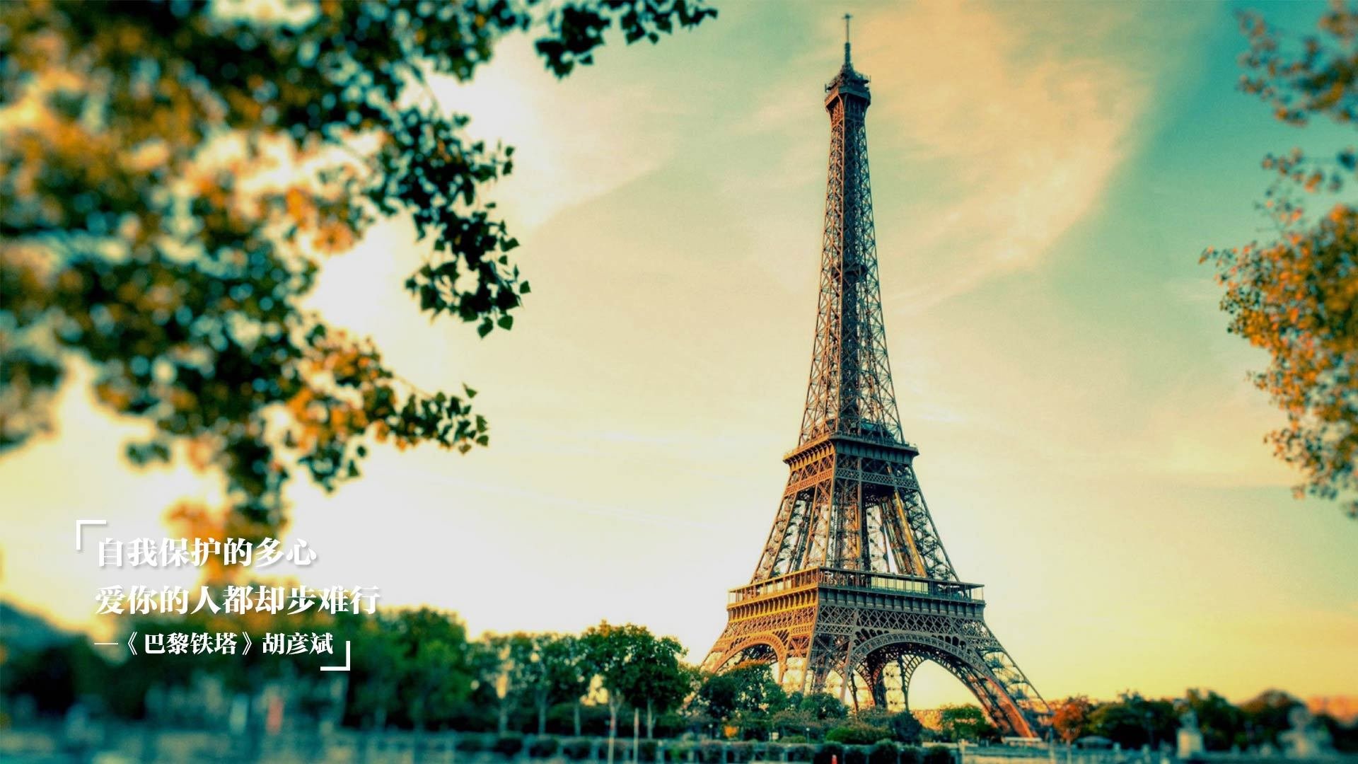 另类总决赛,几内亚与塞内加尔的篮球西非德比