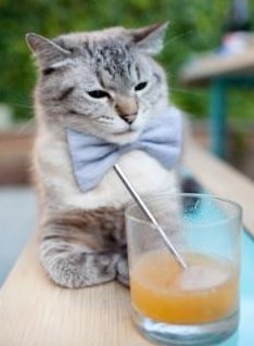 篮球场上的欧冠时刻，范弗利特接管火箭淘汰赛硬仗