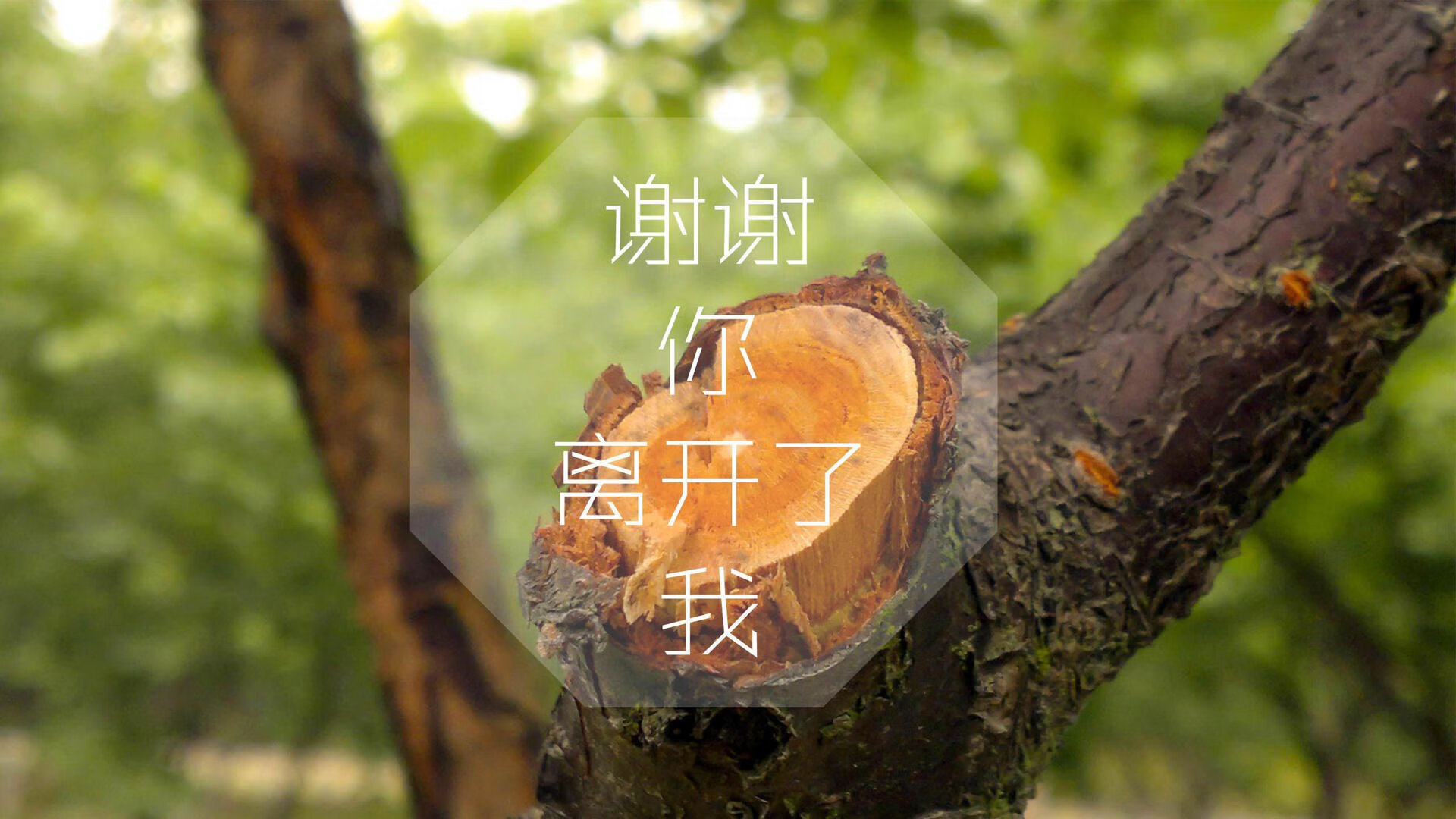 蔚蓝狂潮下的孤胆英雄，坎塞洛导演A组生死战，尼日利亚绝地一击击沉袋鼠军团