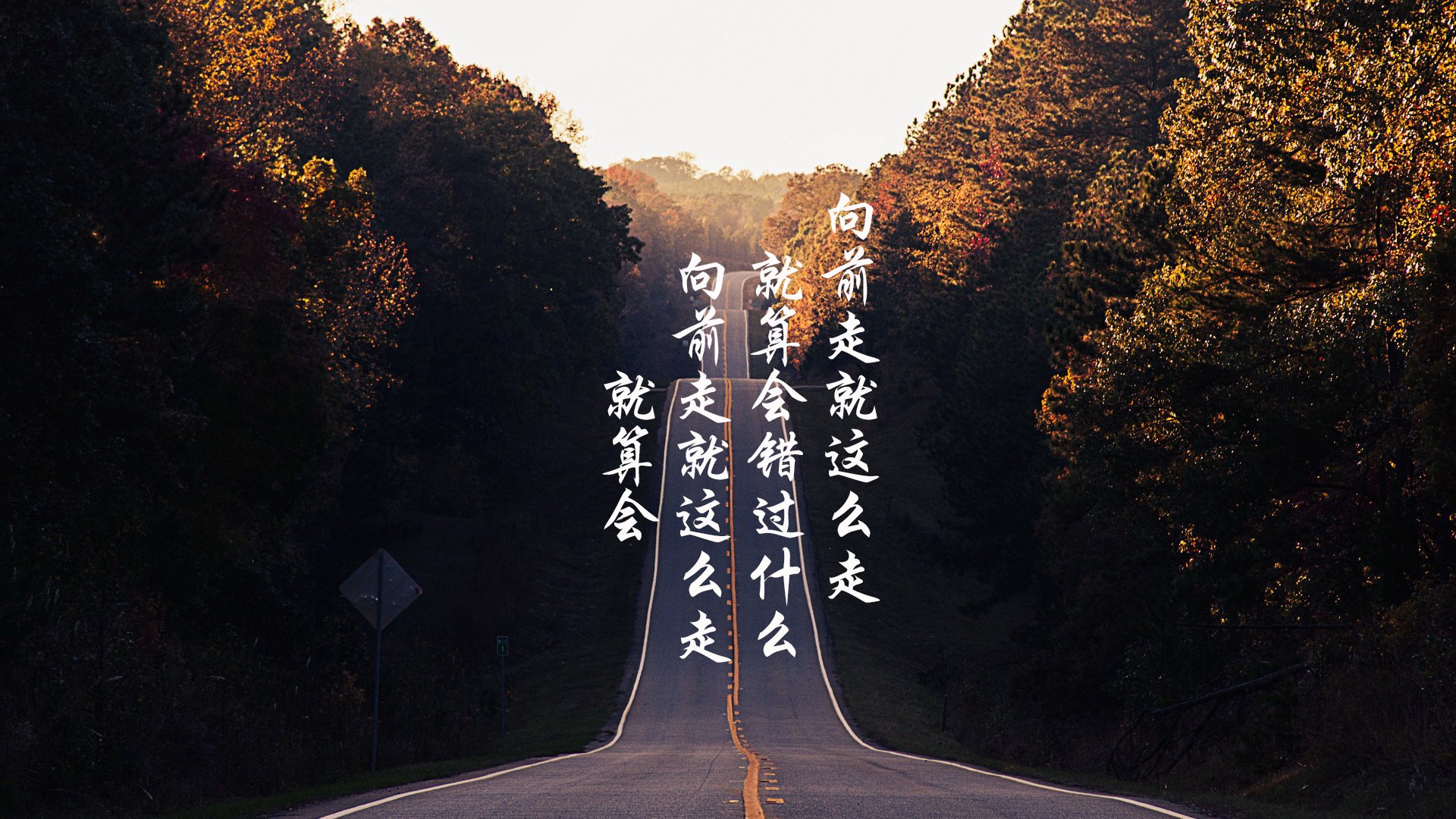 孤星照耀黄海,阿方索·戴维斯与韩国的2026世界杯宿命之劫